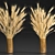 Rustic Wheat Spikelet Bouquet 3D model small image 5