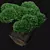 Miniature Bonsai Tree in Pot 3D model small image 2