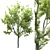 20' Landscape Tree: High Quality Poly & Verts, Corona Render 3D model small image 1