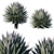 Agave Blue Glow: Stunning 2013 Design 3D model small image 1