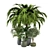 Indoor Greenery Set: 2015 Edition 3D model small image 2