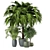 Indoor Greenery Set: 2015 Edition 3D model small image 4