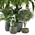 Indoor Greenery Set: 2015 Edition 3D model small image 5