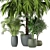 Indoor Greenery Set: 2015 Edition 3D model small image 6