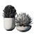 Exquisite Pot Plant Set 3D model small image 3