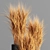 Indoor Zen Wheat Plant Set 3D model small image 3