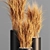 Indoor Zen Wheat Plant Set 3D model small image 4