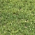 Lush Landscape Grass 16 3D model small image 2