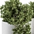 Green Oasis: Small Indoor Plant Set 3D model small image 3