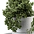 Green Oasis: Small Indoor Plant Set 3D model small image 5