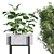 Nature's Oasis: Indoor Plant Set 3D model small image 2