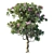 Plumeria Rubra: Exquisite Floral 3D Model 3D model small image 2