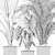 115 Plant Collection: Alocasia Dragon + Palm Areca + Strelitzia 3D model small image 5