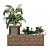 Greenery Box: 5-in-1 Plant Set 3D model small image 2