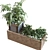 Greenery Box: 5-in-1 Plant Set 3D model small image 5