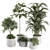 Green Oasis: Indoor Plant Set 3D model small image 1