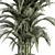 Green Oasis: Indoor Plant Set 3D model small image 2