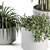 Green Oasis: Indoor Plant Set 3D model small image 4