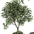 Green Oasis: Indoor Plant Set 3D model small image 5