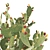 Prickly Pear Cactus: Lifelike 3D Models 3D model small image 3