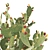 Prickly Pear Cactus: Lifelike 3D Models 3D model small image 8