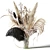 Eternal Beauty: Dried Bouquet with Black Feather 3D model small image 1