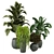 Green Oasis - Set of Indoor Plants 3D model small image 1