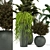 Green Oasis - Set of Indoor Plants 3D model small image 2