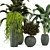 Green Oasis - Set of Indoor Plants 3D model small image 3