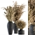 Title: Botanic Bunch: Dried Plants 81 3D model small image 2