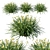 Sulphurea Yellow Rain Lily: Stunning Floral Beauty 3D model small image 1
