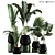 Green Oasis Plant Set - Indoor & Outdoor Pot Plants 3D model small image 1