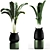 Green Oasis Plant Set - Indoor & Outdoor Pot Plants 3D model small image 2