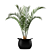 Green Oasis Plant Set - Indoor & Outdoor Pot Plants 3D model small image 5