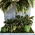 Tropical Palm Plant Collection 3D model small image 2
