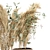 Pampas Bliss: 20 Dry Plants in Wicker Basket 3D model small image 4