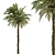 Exquisite Pygmy Date Palm - Set 51 3D model small image 2
