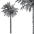 Exquisite Pygmy Date Palm - Set 51 3D model small image 4