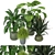 Tropical Greenery - Set of Indoor Plants 3D model small image 3