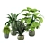 Tropical Greenery - Set of Indoor Plants 3D model small image 4