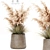 Elegant Indoor Pampas Plant 3D model small image 1