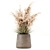 Elegant Indoor Pampas Plant 3D model small image 2