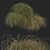 Sleek HairSedge Model - 3Ds Max 3D model small image 13