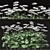 Blooming Bellis: Set of 6 Daisy Plants 3D model small image 2