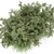 Lush Outdoor Bush Set - 219 Varieties 3D model small image 2