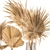 Palm Leaf Bouquet 3D model small image 5