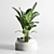 Indoor Plant Collection: 96 Pot Palm Fern Cactus 3D model small image 4