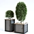 Greenery Oasis Box Set 113 3D model small image 6