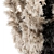 Elegant Pampas: Black Cream Beauty 3D model small image 2