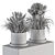 Green Oasis: Mini Indoor Plant Set 3D model small image 6